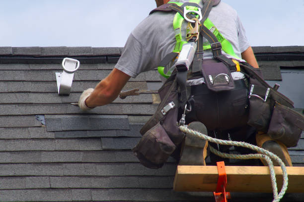 Best Best Roofing Contractors  in Darien, GA