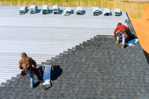 Best Flat Roof Repair Services  in Darien, GA