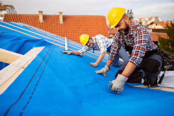 Best Residential Roofing Contractor  in Darien, GA