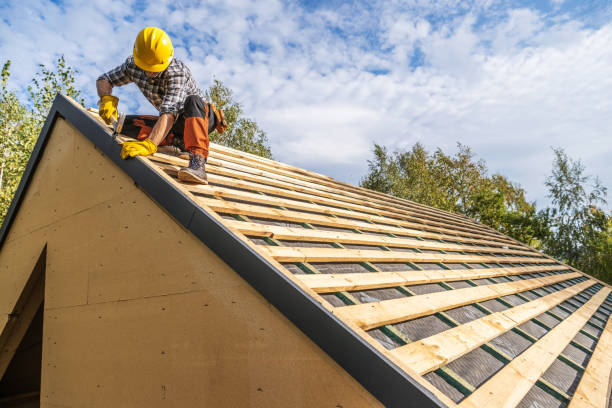 Best Gutter Installation and Roofing  in Darien, GA